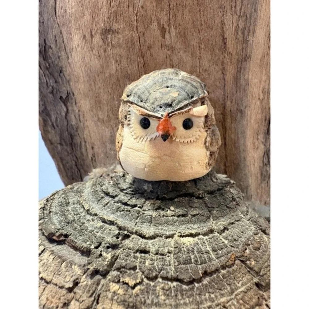 Driftwood‎ with adorable baby owl and mushrooms 14